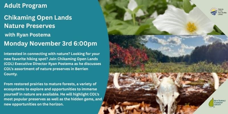 chikaming (ledger) (800 x 400 px)(1) chikaming (ledger) (800 x 400 px)(1)