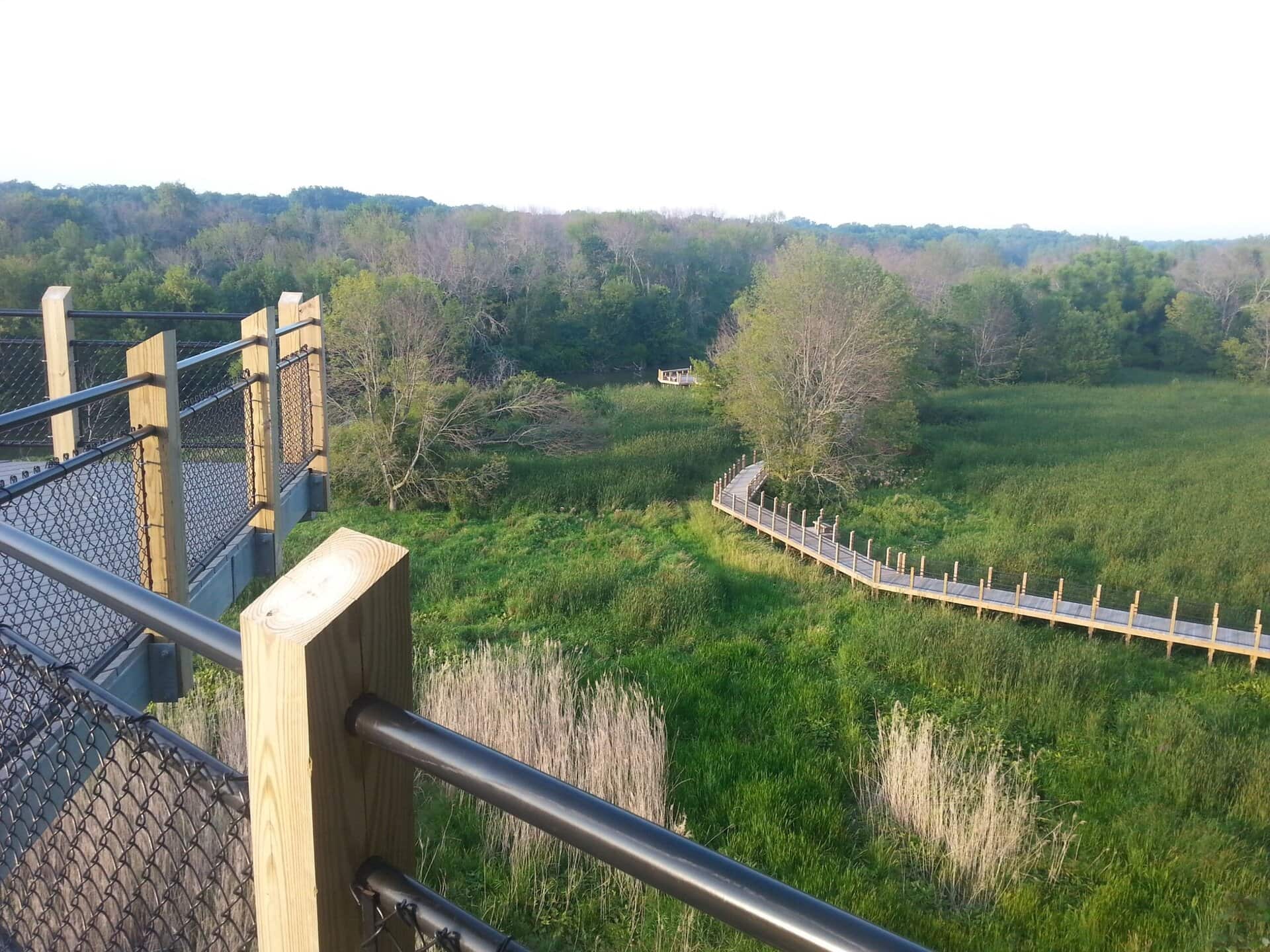 Galien River County Park: View from a wooden observation deck overlooking a winding boardwalk through a green marsh with trees in the background.