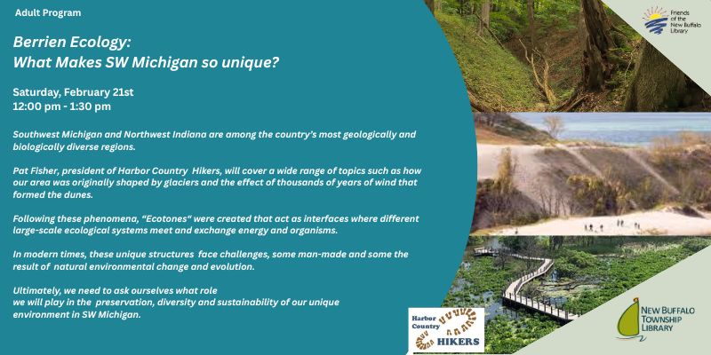 pat fisher website (800 x 400 px) (1)