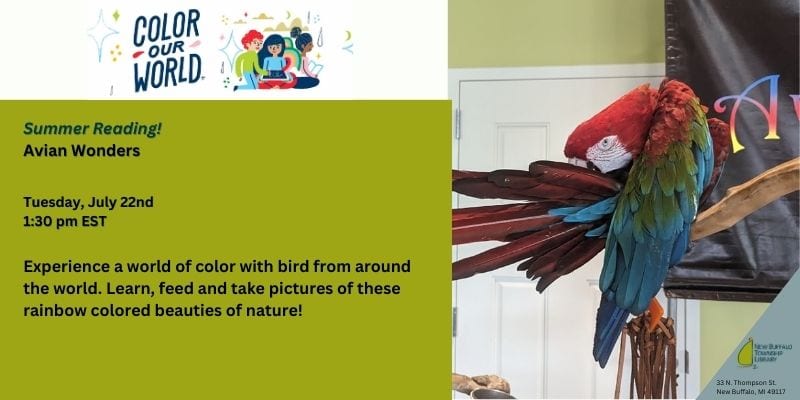 a colorful parrot perches indoors beside a wall display, featured on a flyer promoting a summer reading event about birds from around the world.