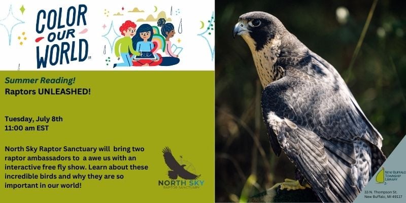 promotional flyer for "raptors unleashed!" summer reading event featuring a photo of a raptor bird and event details hosted by north sky raptor sanctuary.