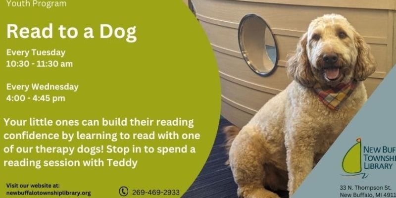 untitled (800 x 400 px)